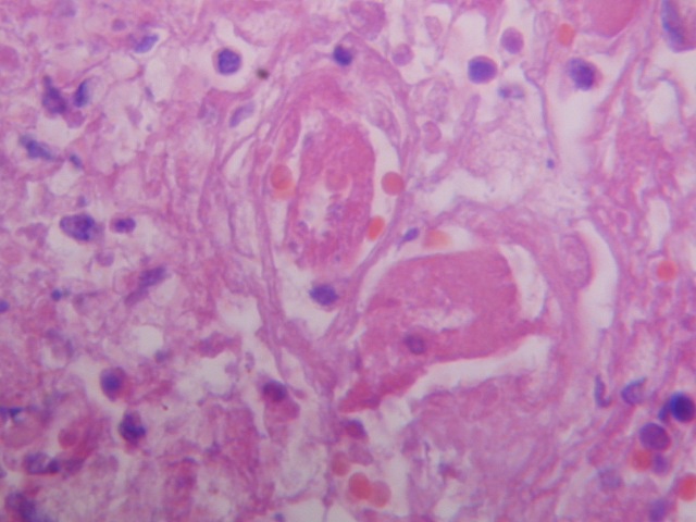 Fig. 4: - <div style=