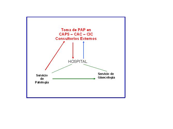 fig.1 - Organigrama