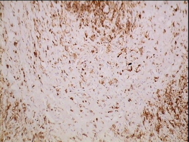Fig. 8 - <div style=