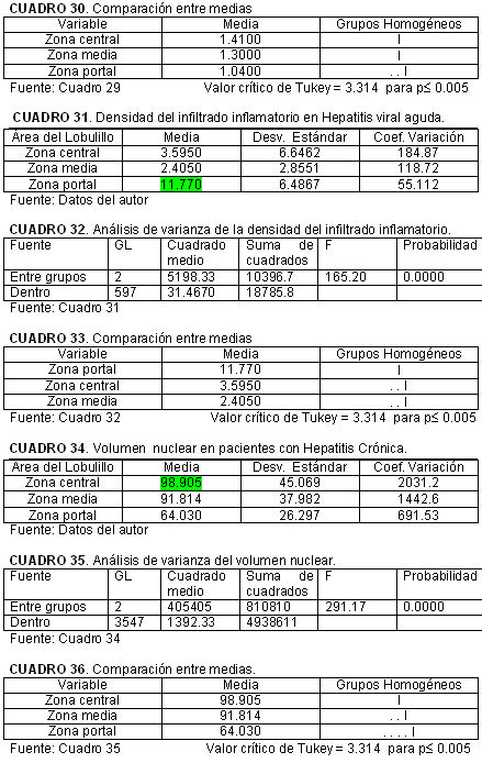 Resultados_08 - 