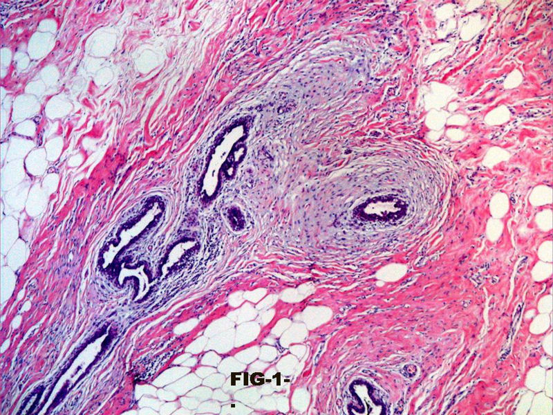 fig. 1 - <div style=