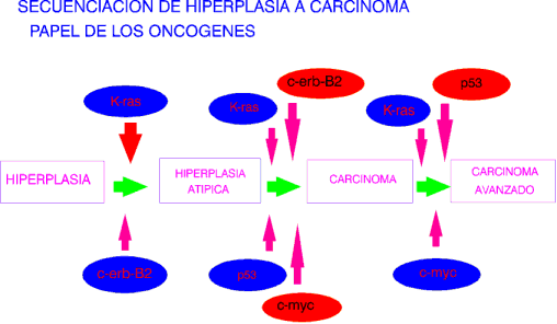 secuenc.gif (12822 bytes)