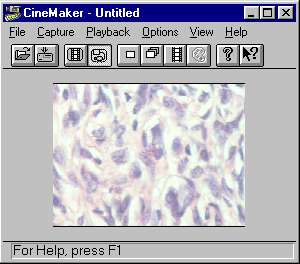 grabadora de v�deos