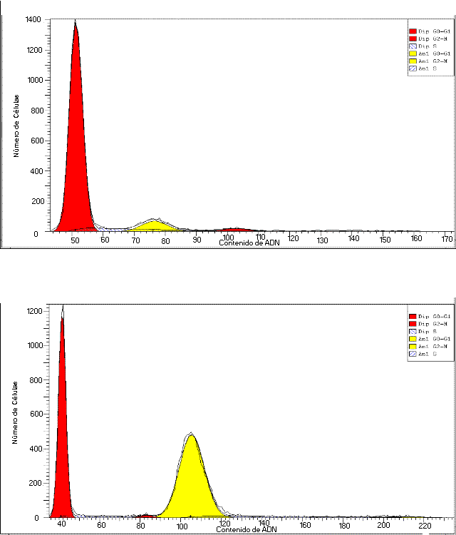 Histograma de tumor gltico