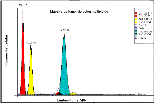 Contenido ADN/tumores multiploides