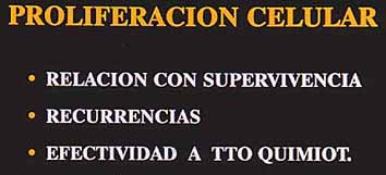 Fig. 10. VALOR DE LA MEDIDA DE LA PROLIFERACION CELULAR