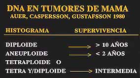 Fig. 11. DNA EN TUMORES DE MAMA