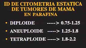 Fig. 15. ID DE TUMORES DE MAMA CON CITOMETRIA ESTATICA, OBTENIDA DESDE BLOQUES DE PARAFINA