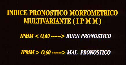 Fig. 18. INDICE PRONOSTICO MORFOMETRICO MULTIVARIANTE