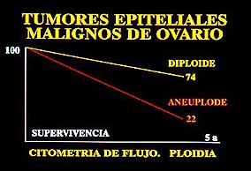 Fig. 25. SUPERVIVENCIA Y CITOMETRIA EN TUMORES EPITELIALES DE OVARIO