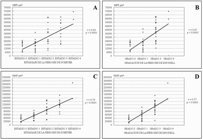 Regresiones lineares de Cuantificaciones por Fibrosis HR