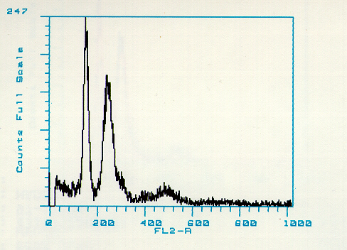 fig. 20