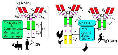 fig.1