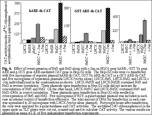 Fig.6