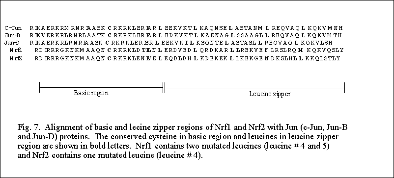 Fig.7