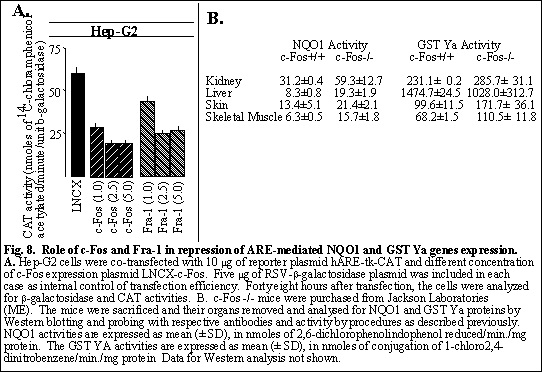 Fig.8