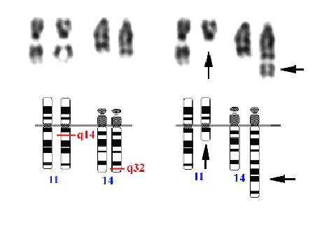 fig2.jpg (27680 bytes)