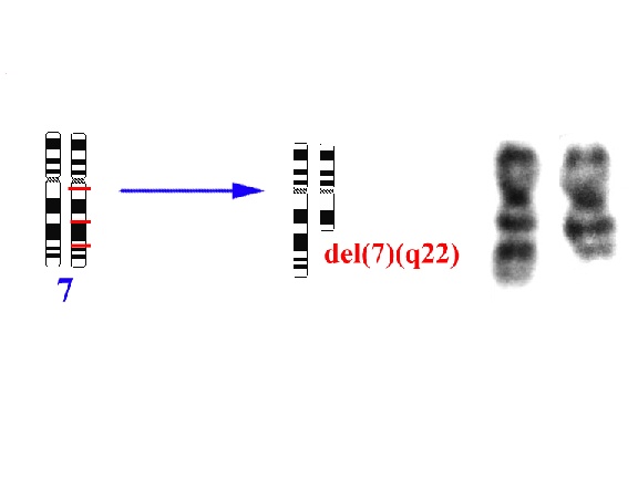 fig3.jpg (22479 bytes)