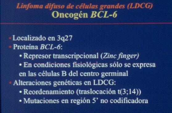 alg4.jpg (30821 bytes)