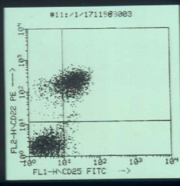 hcl11.jpg (23336 bytes)