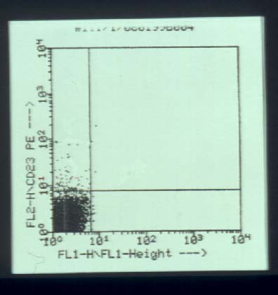 hcl7.jpg (30987 bytes)
