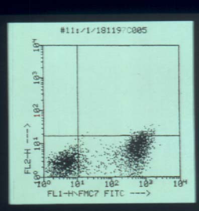 hcl9.jpg (30311 bytes)