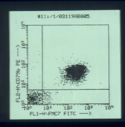 mcl7.jpg (24050 bytes)