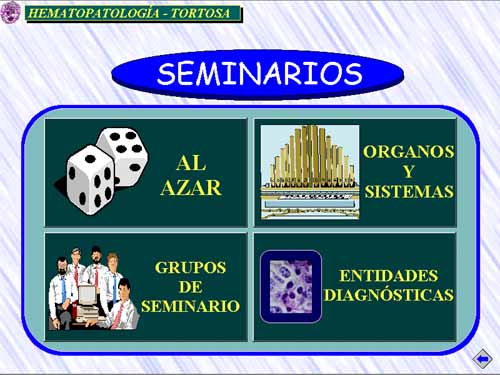 Seminarios