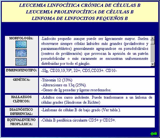 Clasificacin