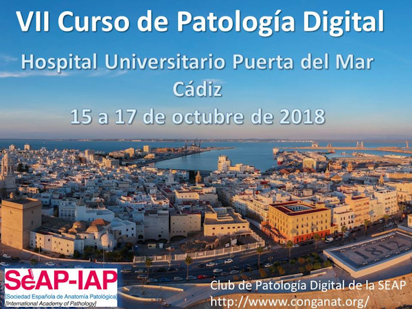 VI Curso de Patologa Dogital. Cdiz. 15-17 de octubre de 2018