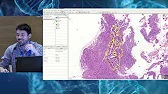 Vdeo Iniciacin a Qupath, el software ms popular de anlisis de imagen