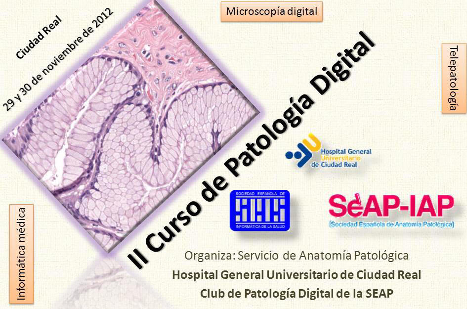 Pulse sobre la imagen para descargar el programa del curso