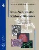 Non-neoplastic kidney diseases