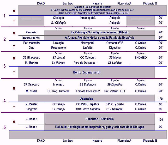 Resumen del programa del XX Congreso Nacional de la SEAP