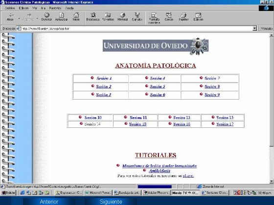 Diapositiva 7