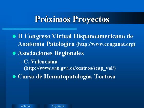 Diapositiva 14